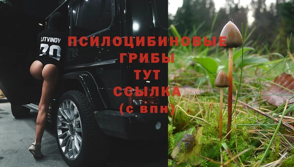 гидропоника Белоозёрский