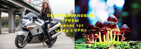 кокаин Белокуриха